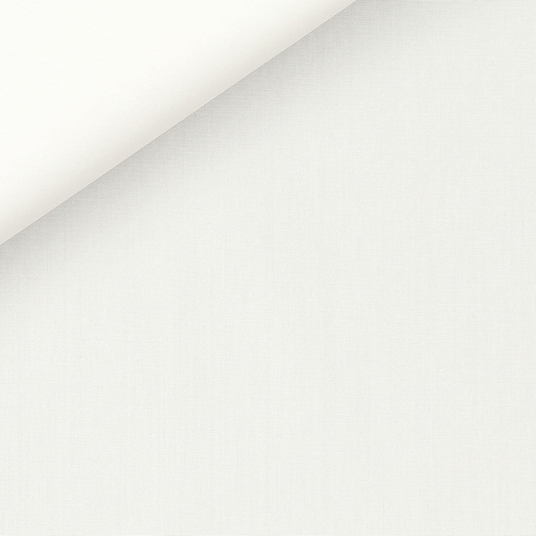 Shirt “SCALA” / Sancy cotton