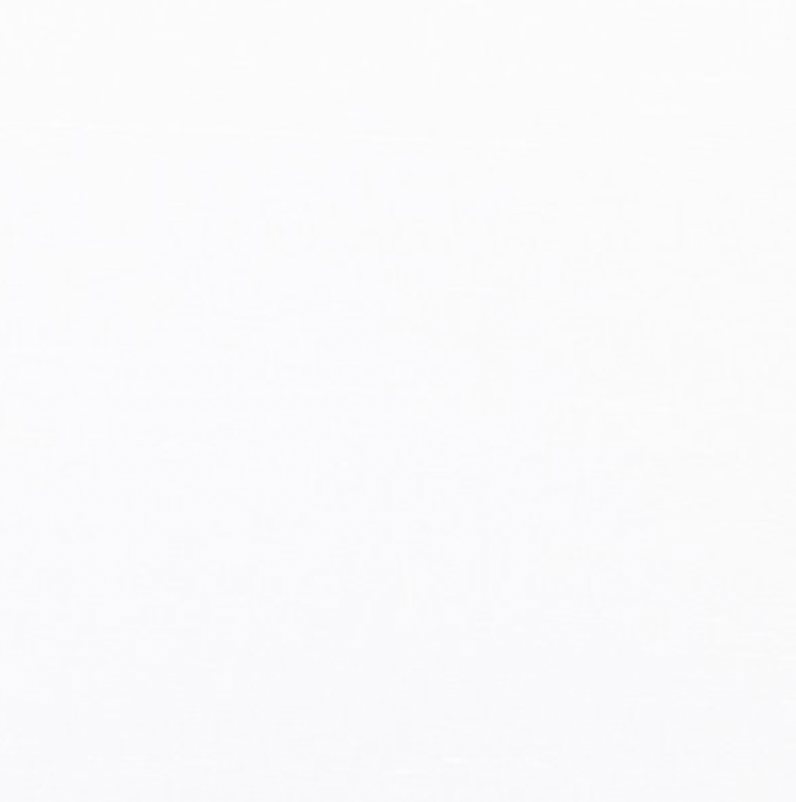 Seelik "DONNA MIDI" / Shantung siid